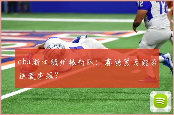 cba浙江稠州银行队：赛场黑马能否逆袭夺冠？