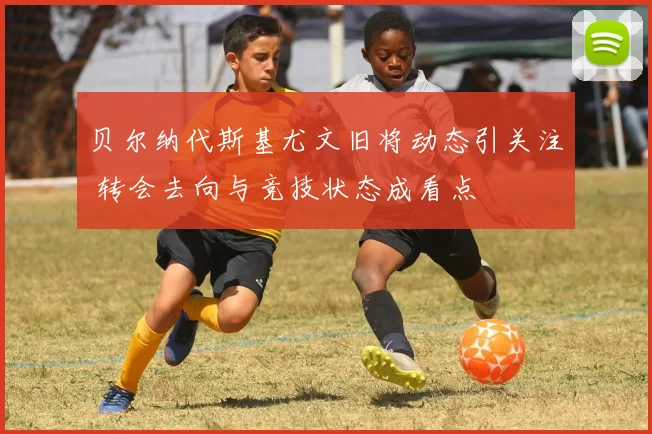 贝尔纳代斯基尤文旧将动态引关注 转会去向与竞技状态成看点