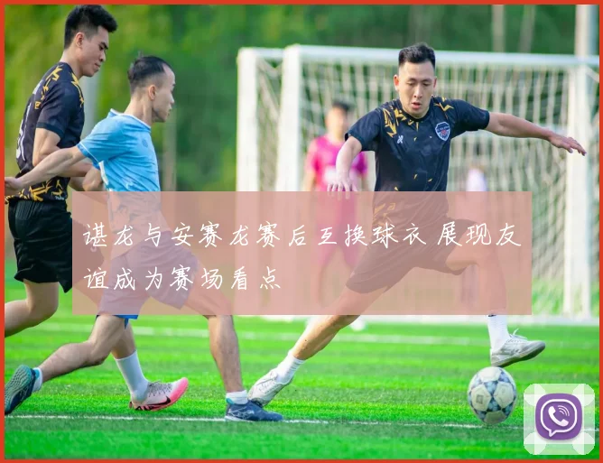谌龙与安赛龙赛后互换球衣 展现友谊成为赛场看点
